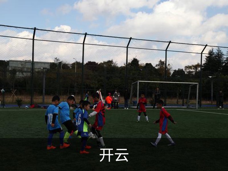 开云概况