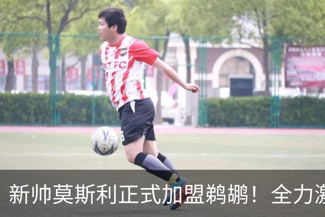 新帅莫斯利正式加盟鹈鹕！全力激发锡安潜能，增强身体对抗